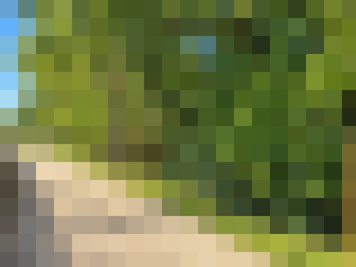  / #17