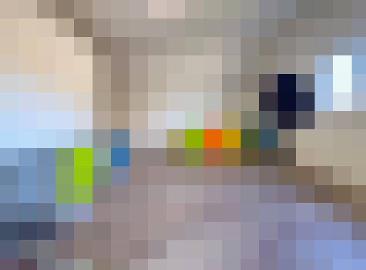  / #19