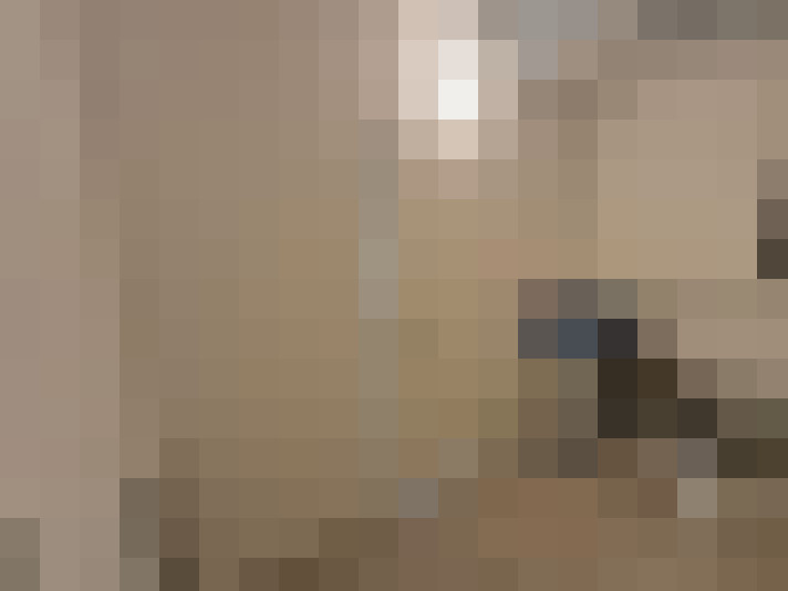  / #11