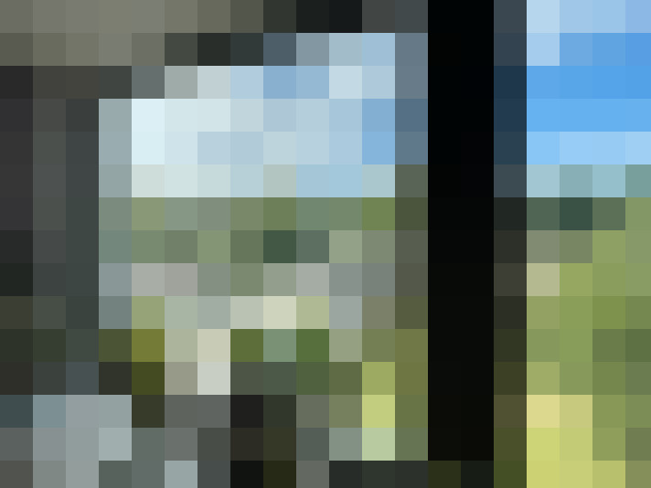  / #15