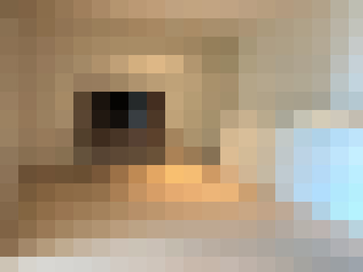  / #14