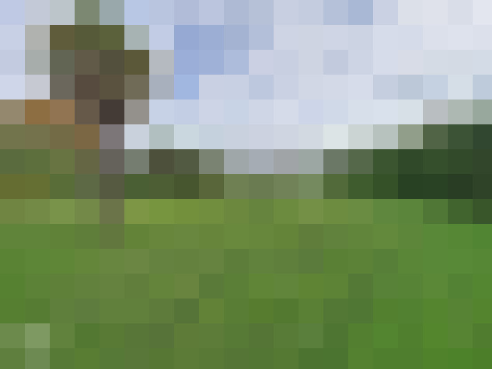  / #13
