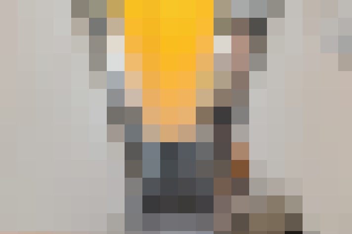  / #11