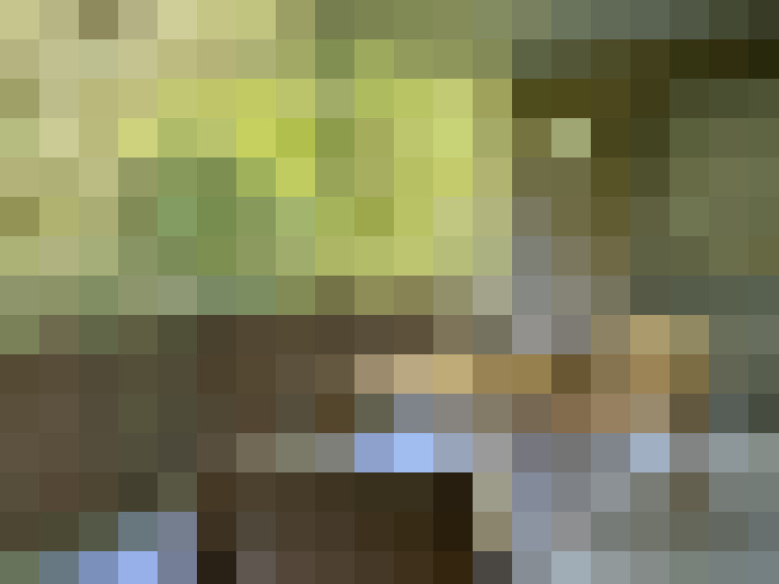  / #18
