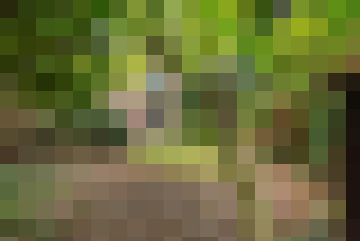  / #16