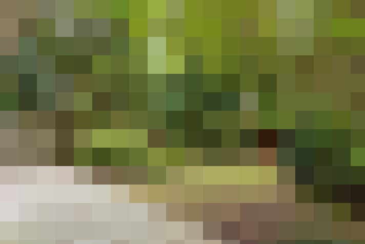  / #15