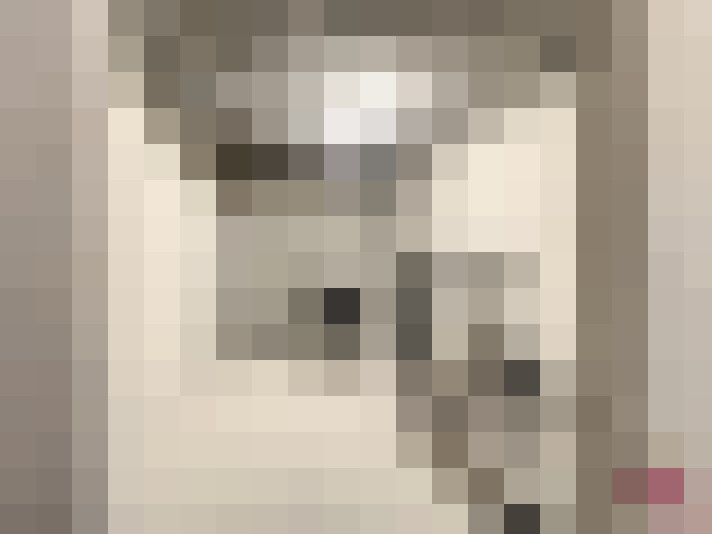  / #16
