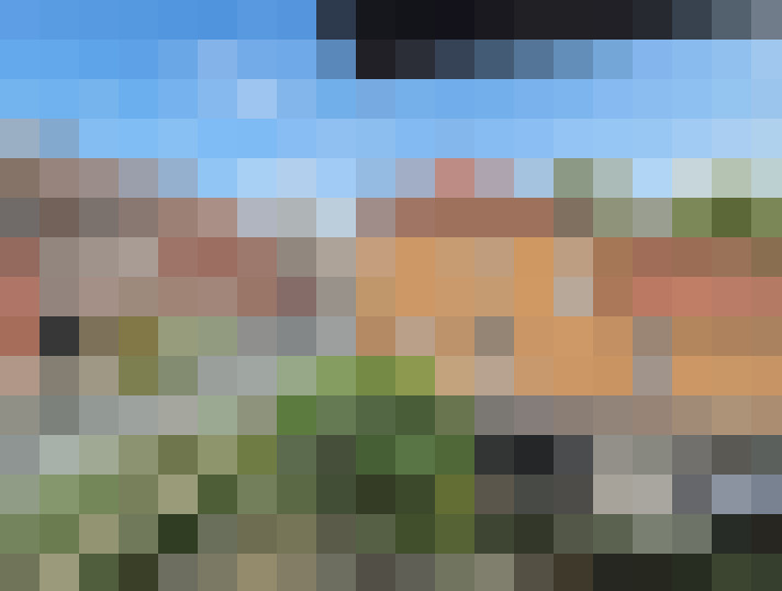  / #15