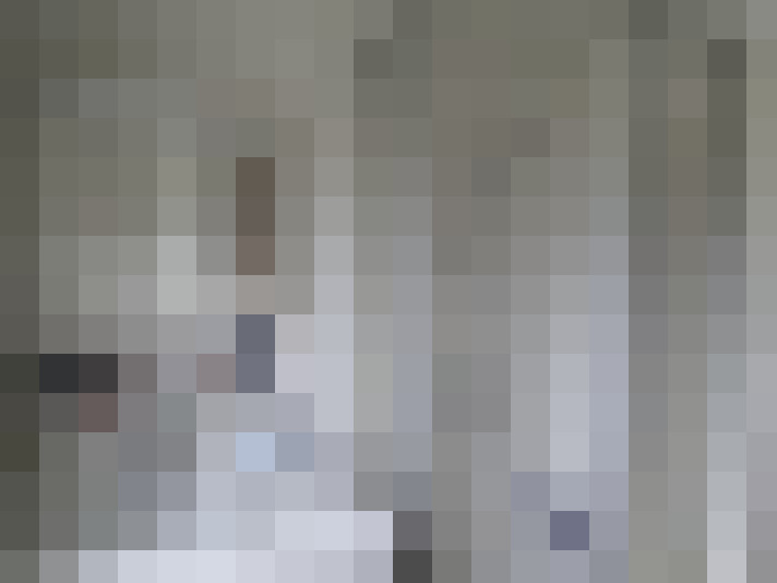  / #13