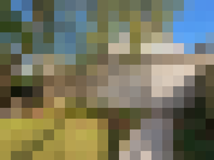  / #20