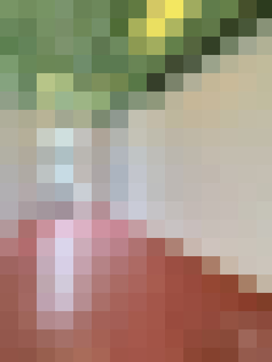  / #8