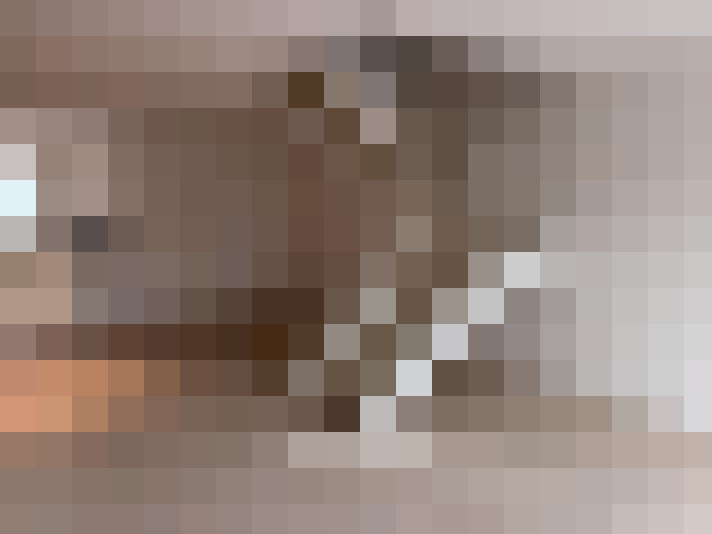  / #8