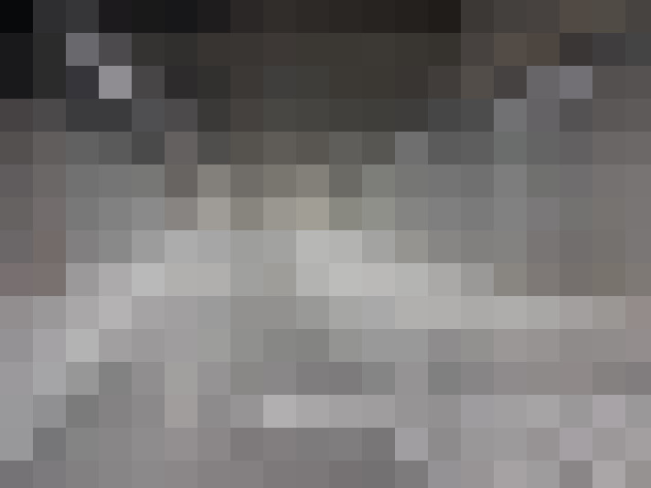  / #16