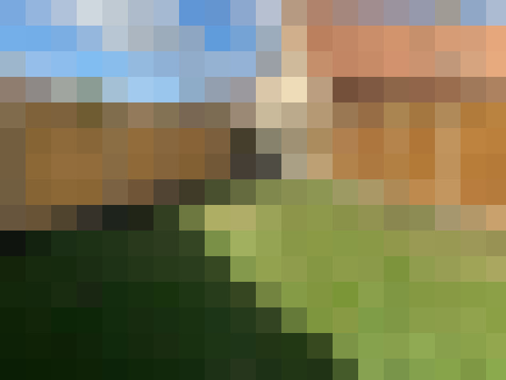  / #13