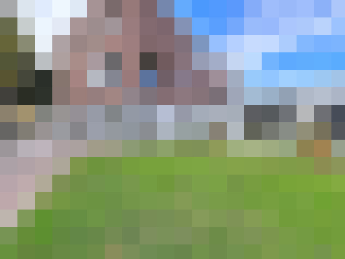  / #11