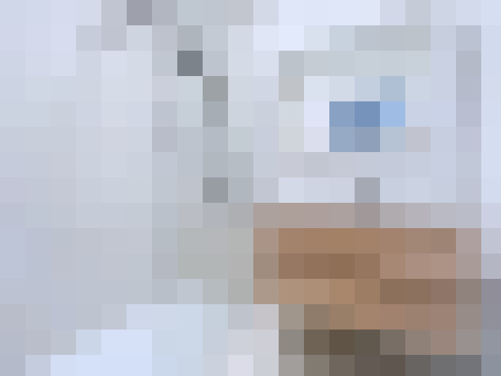  / #8