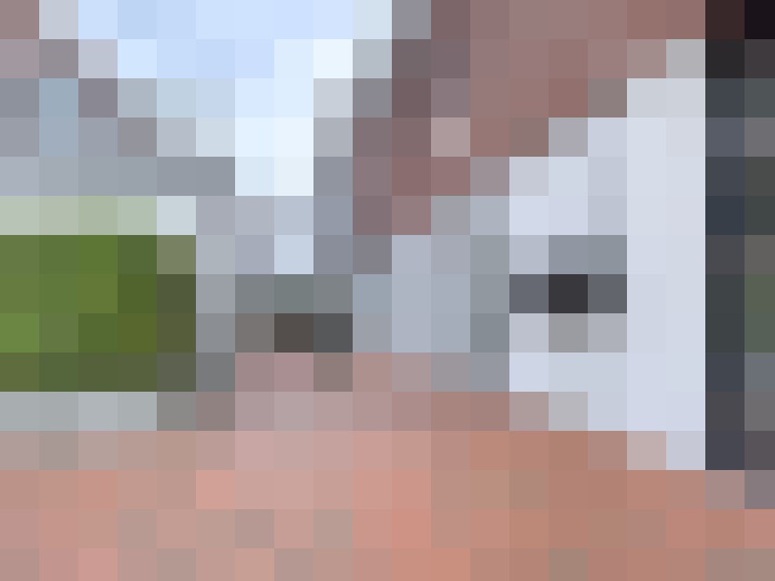  / #14
