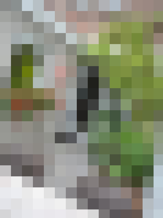  / #17