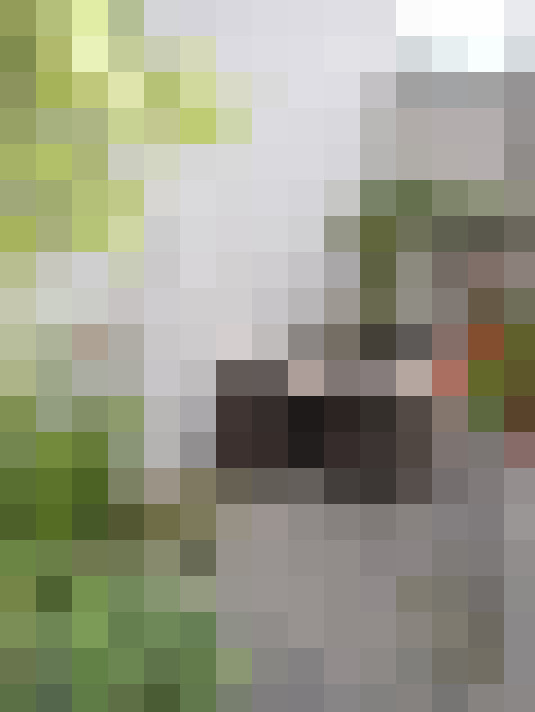  / #15
