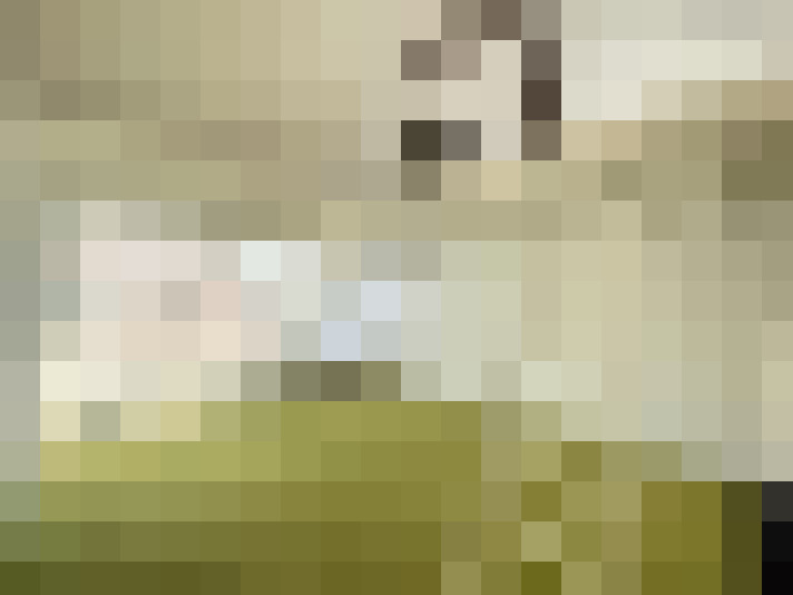  / #15