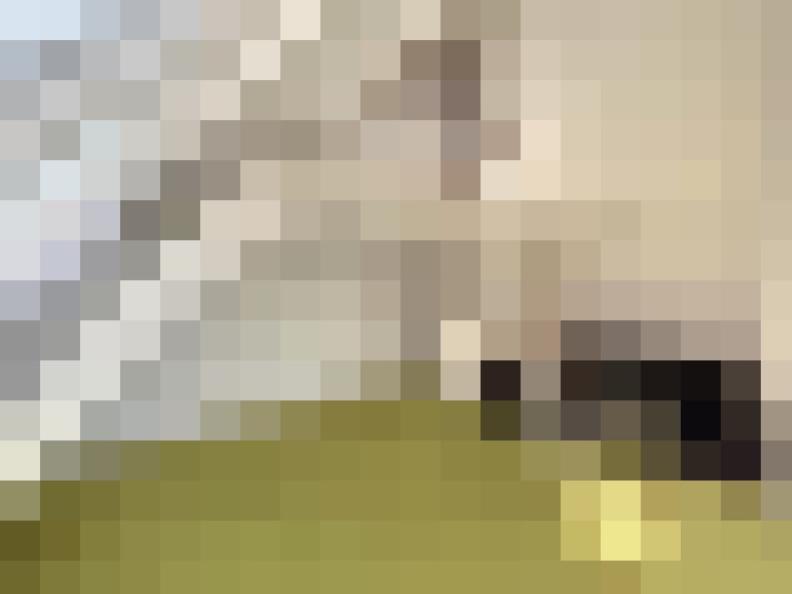  / #16