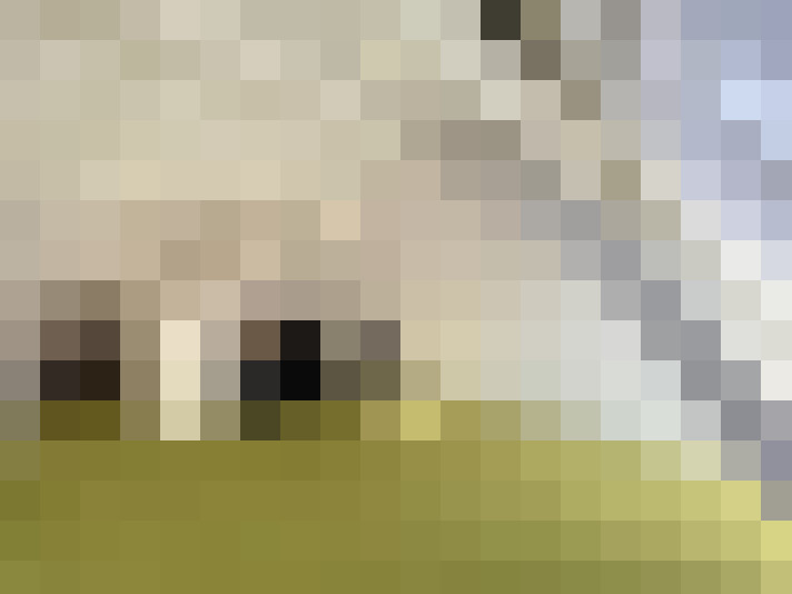  / #17