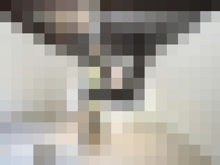  / #13