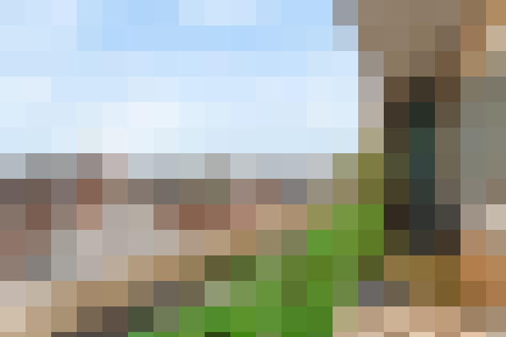  / #13