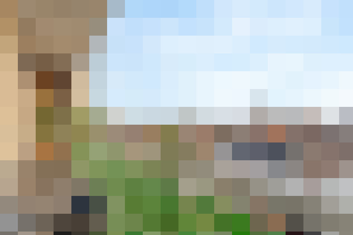  / #12