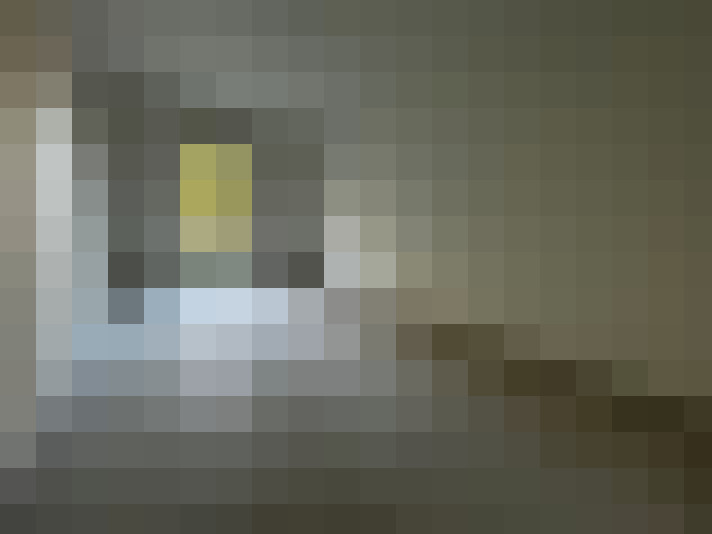  / #7