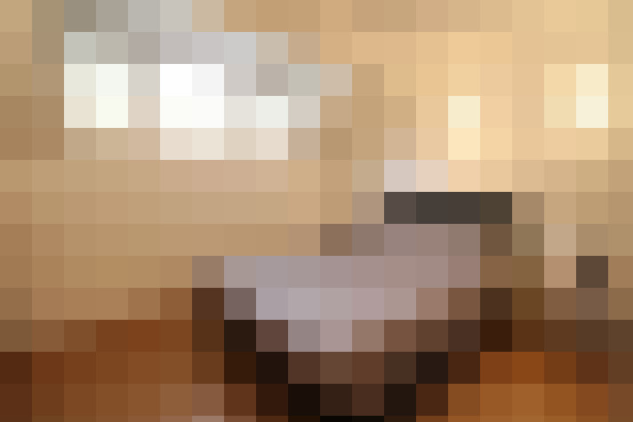  / #8