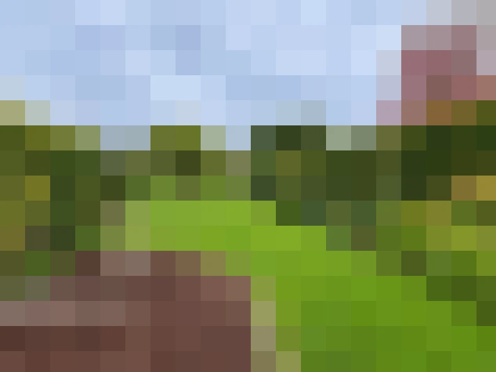  / #9