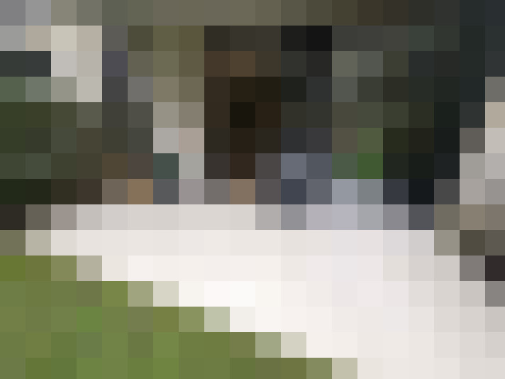  / #13
