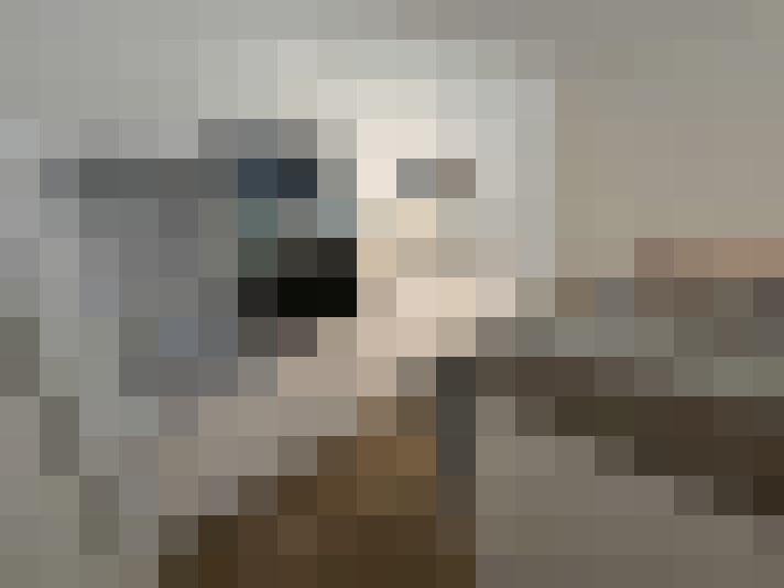  / #8