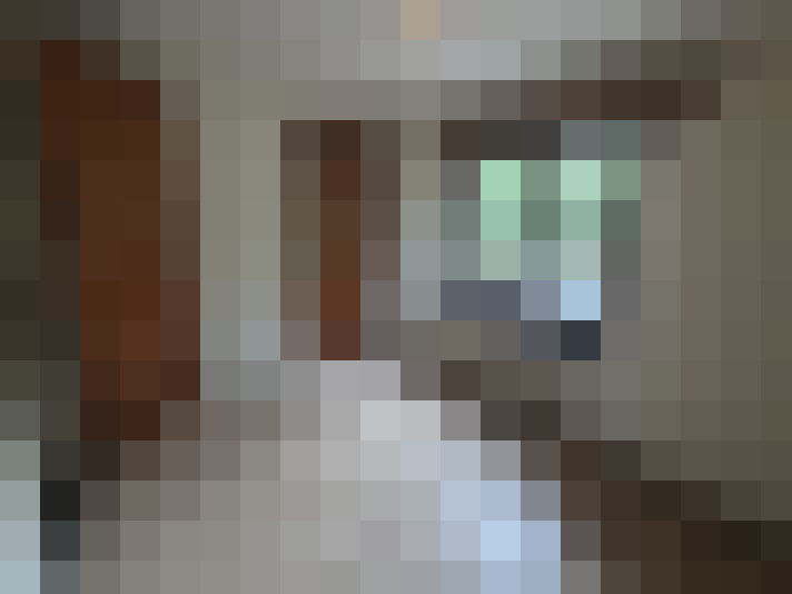  / #8