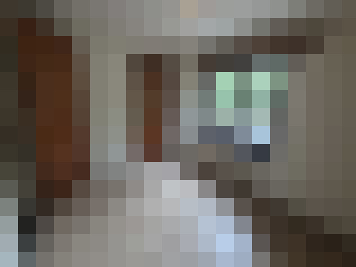  / #7