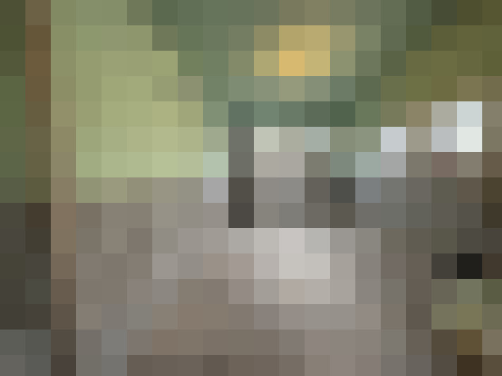  / #14
