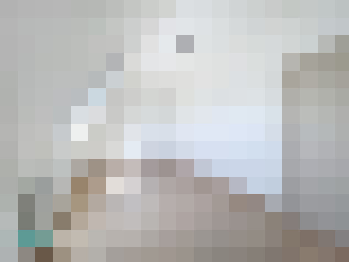 / #17