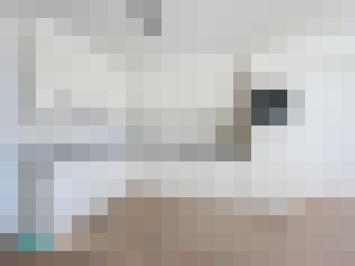  / #11