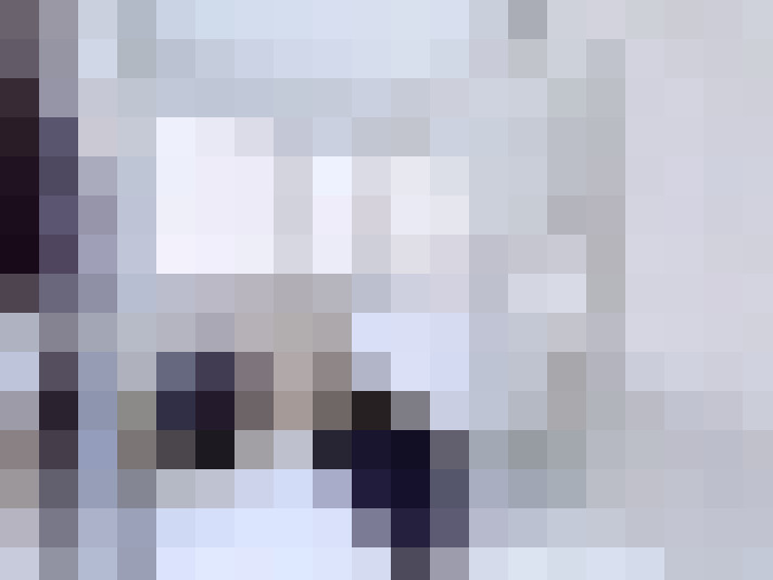  / #15