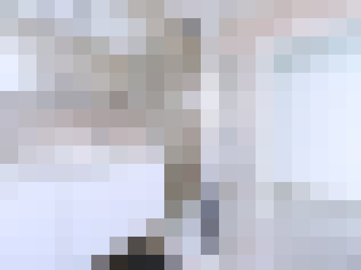  / #16