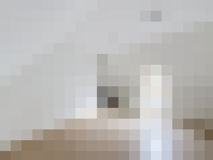  / #19