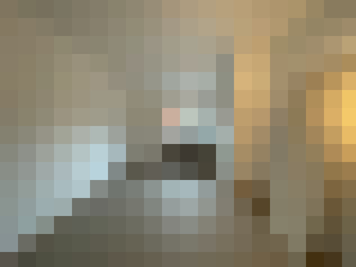  / #11
