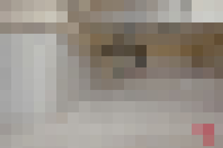  / #21