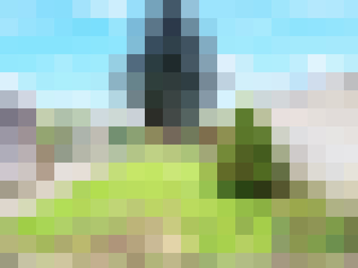  / #19