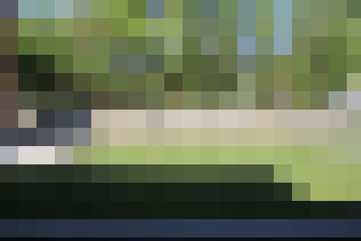  / #15