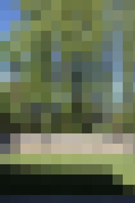  / #17