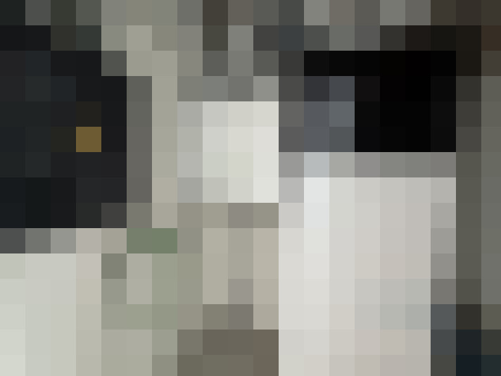  / #20