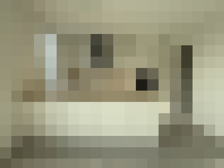  / #8