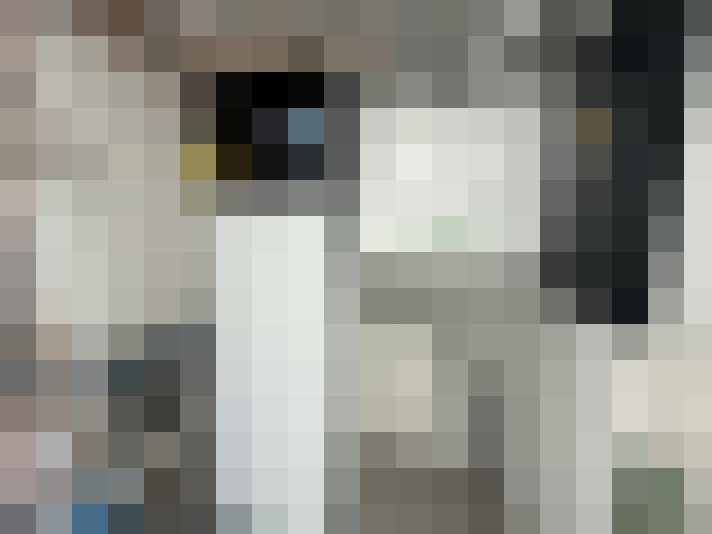  / #15